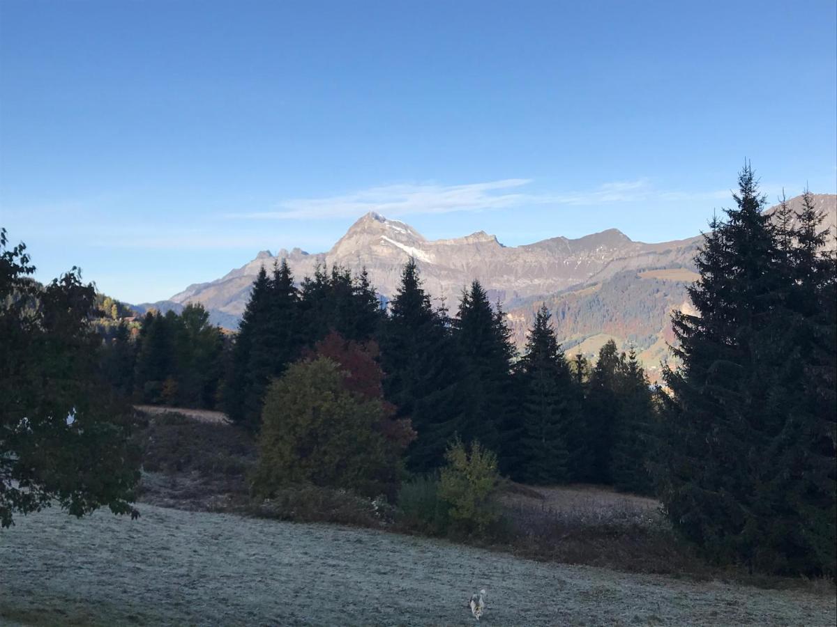 La Ferme Des Georgieres "Sejour En Tout Compris" Notre-Dame-de-Bellecombe Bagian luar foto